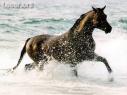 trop beau  !!!!!!!